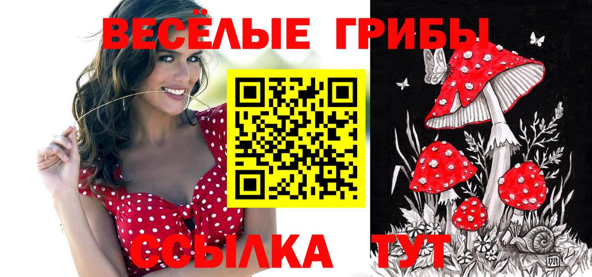 Ачинск  Галлюциногенные грибы Psilocybine cubensis  Псилоцибиновые грибы мухоморы  наркошоп  Вход с VPN 